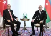 Президент Азербайджана созвонился с лидером Турции в связи с крушением самолета