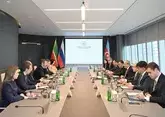 Реализацию совместных проектов обсудили Татарстан и Азербайджан