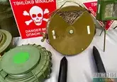 В Азербайджане назвали число обезвреженных за год мин на освобожденных территориях