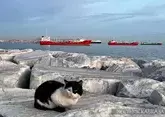 7 исторически важных водных маршрутов