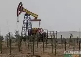 МЭА: текущий нефтяной кризис масштабнее всех предыдущих
