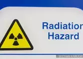 В МАГАТЭ заявили о риске радиационной аварии на Бушерской АЭС