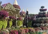 АТОР: Спрос на ОАЭ среди россиян только растет