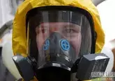 Хантавирус 2026 : как и где распространяется вирус Андес, чем он опасен и как его избежать?