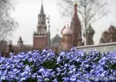 В Кремле проходит встреча Путина и Токаева