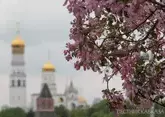 Москва весной 2026: как цветут сирень, яблони, вишни и тюльпаны в весенней Москве