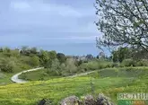 Абхазия вошла в десятку популярных стран для отдыха россиян