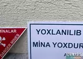Азербайджан очистил от мин более 270 тыс га освобожденных территорий