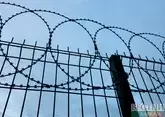 Двух участников протестных акций казнили в Иране