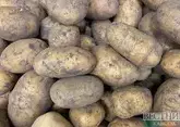 Россельхознадзор запретил картофель и сухофрукты из Армении