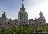 МГУ им. Ломоносова вновь возглавил рейтинг лучших вузов России