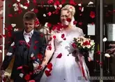Фиктивные браки в Грузии будут уголовно наказуемыми