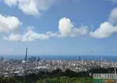 Границы Батуми могут уменьшить