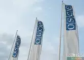 Проект новой резолюции по Грузии возмутил парламентскую делегацию страны в ОБСЕ