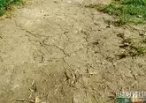 Иранский Керманшах потрясли два сильных землетрясения