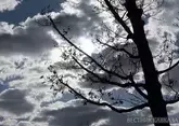 7 древних войн, изменивших мир
