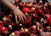 Доходы от экспорта азербайджанских гранатов за полгода приблизились к $4 млн