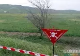 В Азербайджане за неделю очистили от мин 1,7 тыс га территории