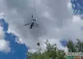 В Агдамском районе потушен масштабный пожар