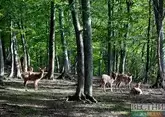 Два кавказских заповедника вошли в топ по посещаемости
