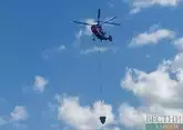 В Анталье и Мугле бушуют лесные пожары