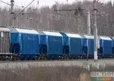 Россия и Казахстан нарастили взаимные поставки пшеницы