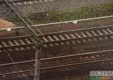 Из Азербайджана в Армению отправился поезд с российской пшеницей и каменным углем