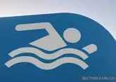 Чемпионат Европы по водным видам спорта может пройти в Казани