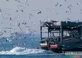 Турция сняла ограничения на проход судов в Черное море – СМИ