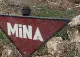 В Азербайджане с окончания войны на минах подорвались 436 человек