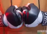 Махачев одолел Гэрри и установил абсолютный рекорд UFC по победам