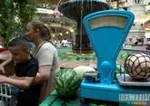 Цены на арбузы и дыни рухнули в России