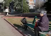 Жюри конкурса "Город-сад" оценило новый сквер в Ставрополе