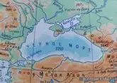 Почему Черноморский регион остается ключевым для мировой продовольственной безопасности