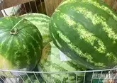 Российские магазины заполонили грузинские арбузы
