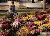 В КБР по федеральному проекту благоустроили свыше 800 общественных зон