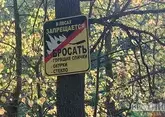 Пожар в крымском лесу тушат уже неделю