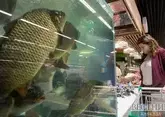 Новые маршруты старых связей: как меняется торговля Армении