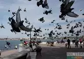 Севастополь вновь потрясло ощутимое землетрясение