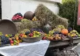 Фрукты и ягоды Северного Кавказа: когда покупать, польза, лучшие места