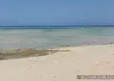 Погрузка нефти приостановлена в крупнейшем порту Саудовской Аравии в Красном море
