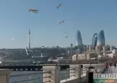 Азербайджанский международный инвестфорум стартовал в Баку