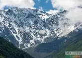 Мамисон набирает популярность у любителей искусства и спорта