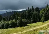 Свыше 1,2 тыс туристов приняли участие в массовом походе в горы в Сочи