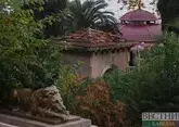 Раскрыто, зачем ехать в Абхазию в несезон