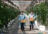 Крупный тепличный комплекс построят на освобожденных землях Азербайджана