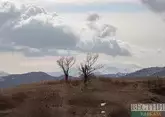 Карабахский национальный парк создан в Азербайджане