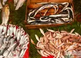 Россия в 2,5 раза нарастила поставки рыбы и морепродуктов в Китай