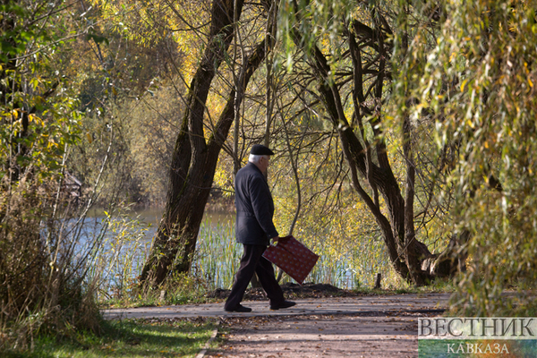 Осень в Москве. Парк Покровское-Стрешнево (фоторепортаж)