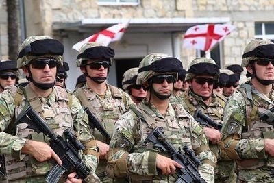 Грузия утвердила стратегию борьбы с терроризмом 